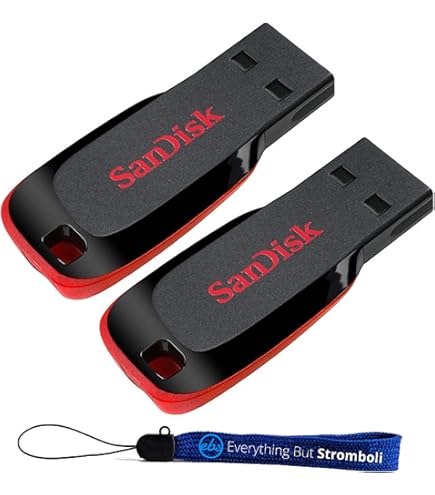Amazon.com: SanDisk Cruzer 16GB (8GB x 2) Cruzer Blade USB 2.0